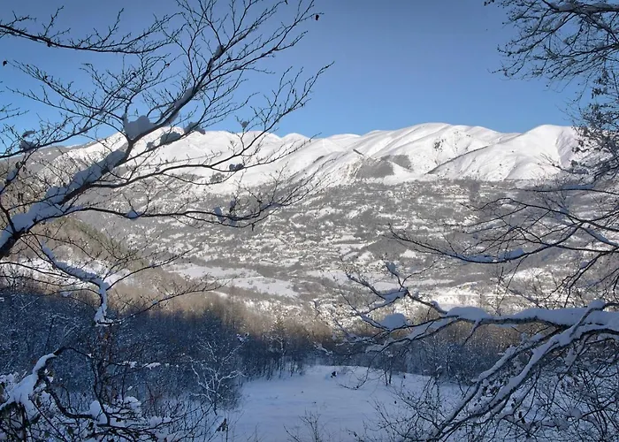Les Gourgs Blancs - 80m Des Pistes 公寓 *